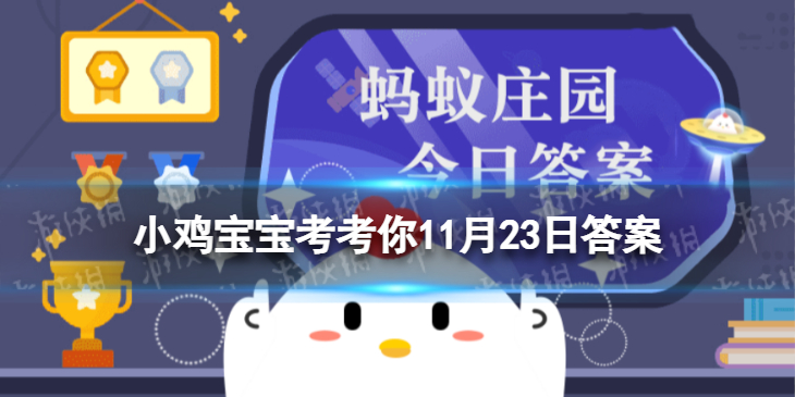 小鸡宝宝考考你哪种植物会寄生在梭梭根部