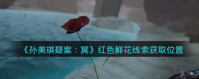 《孙美琪疑案：冥》四级线索——红色鲜花