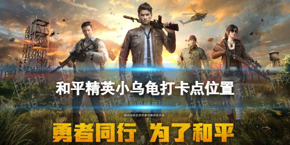 《和平精英》小乌龟打卡点在哪-《和平精英》小乌龟打卡点位置