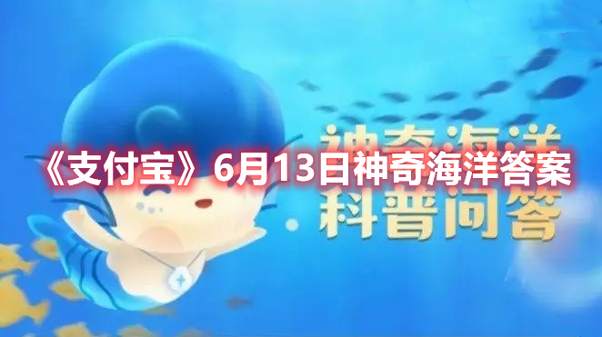 万里长江最终汇入的是什么海-支付宝6月13日神奇海洋答案